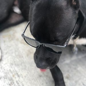 Meet your Posher, Leticia